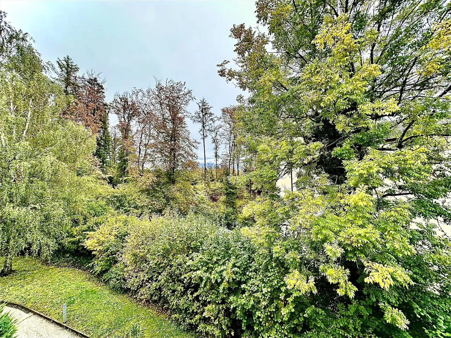 Uffici, locali di 186 m2 in affitto a Losanna - Foto 8 di 8