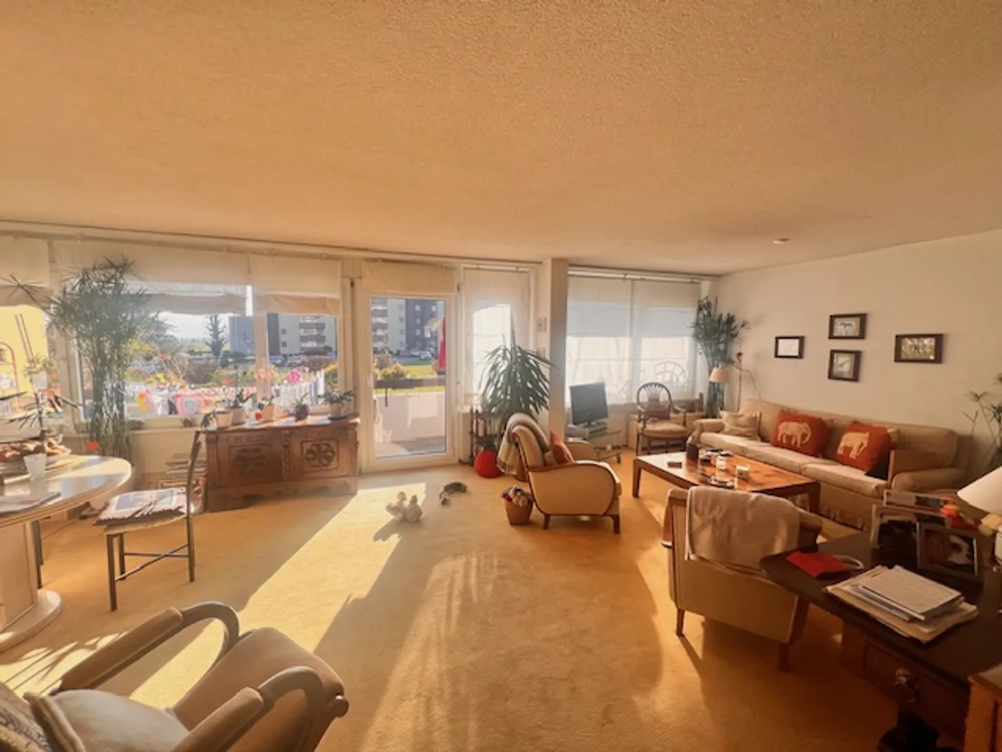 Wohnung in Leibrente in Tolochenaz - Foto 1 von 13