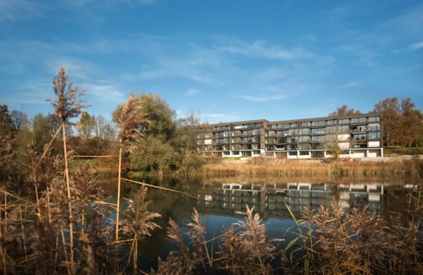 Large 2.5-room ground floor apartment at Bildweiher (No. 0.2) - Photo 1 of 14