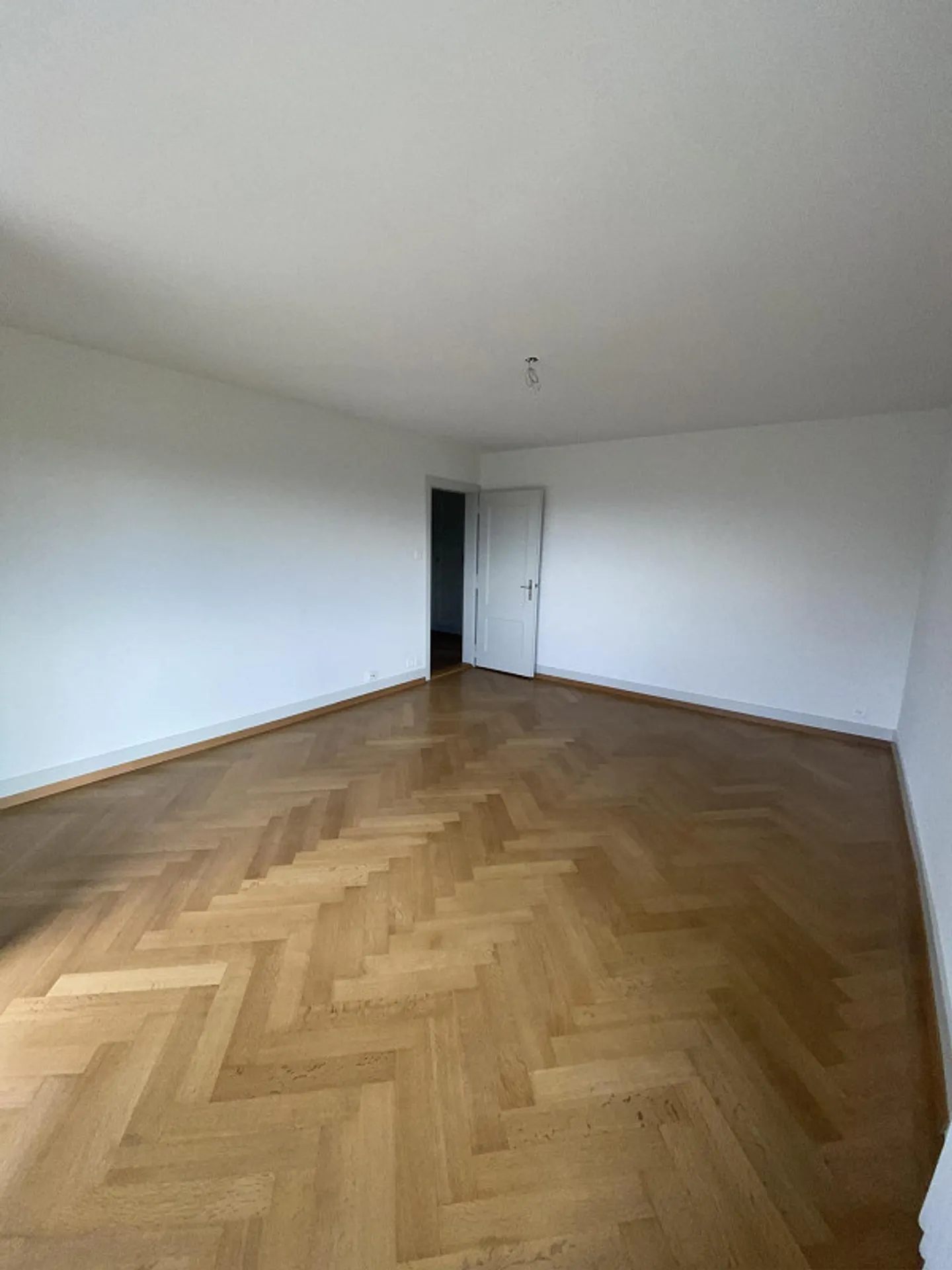 Charming, newly renovated 2-room apartment with 2 balconies and a view - Photo 15 of 27