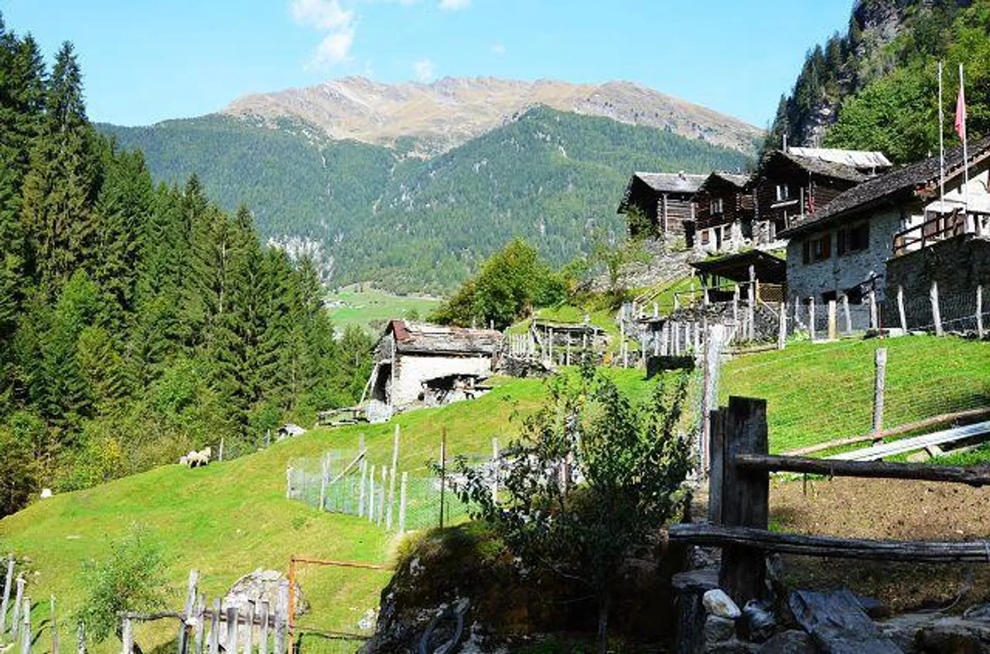 Casa in affitto - Foto 19 di 39