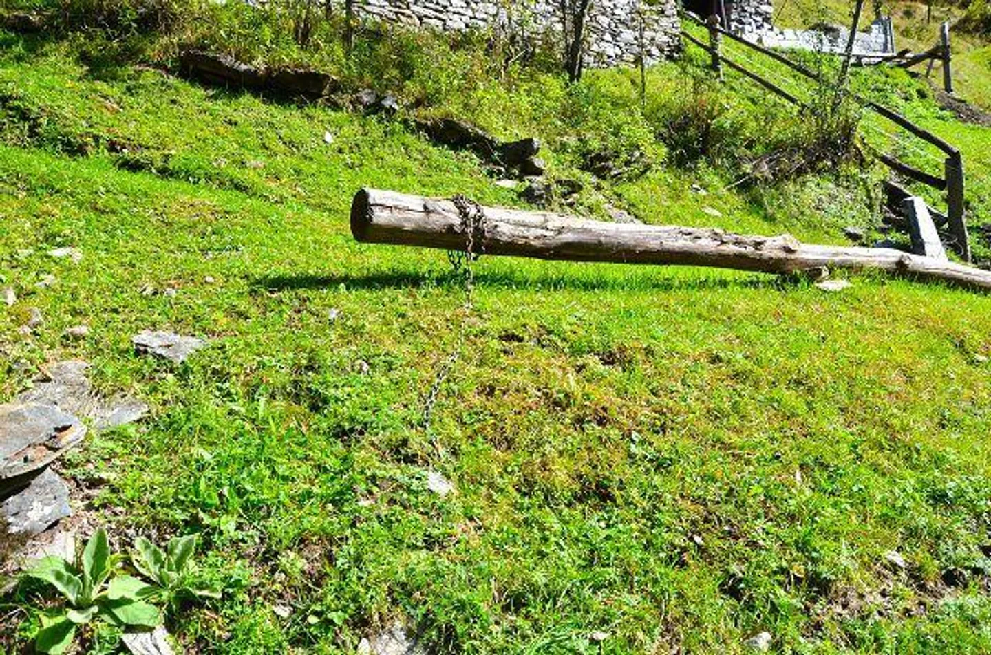 Casa in affitto - Foto 21 di 39