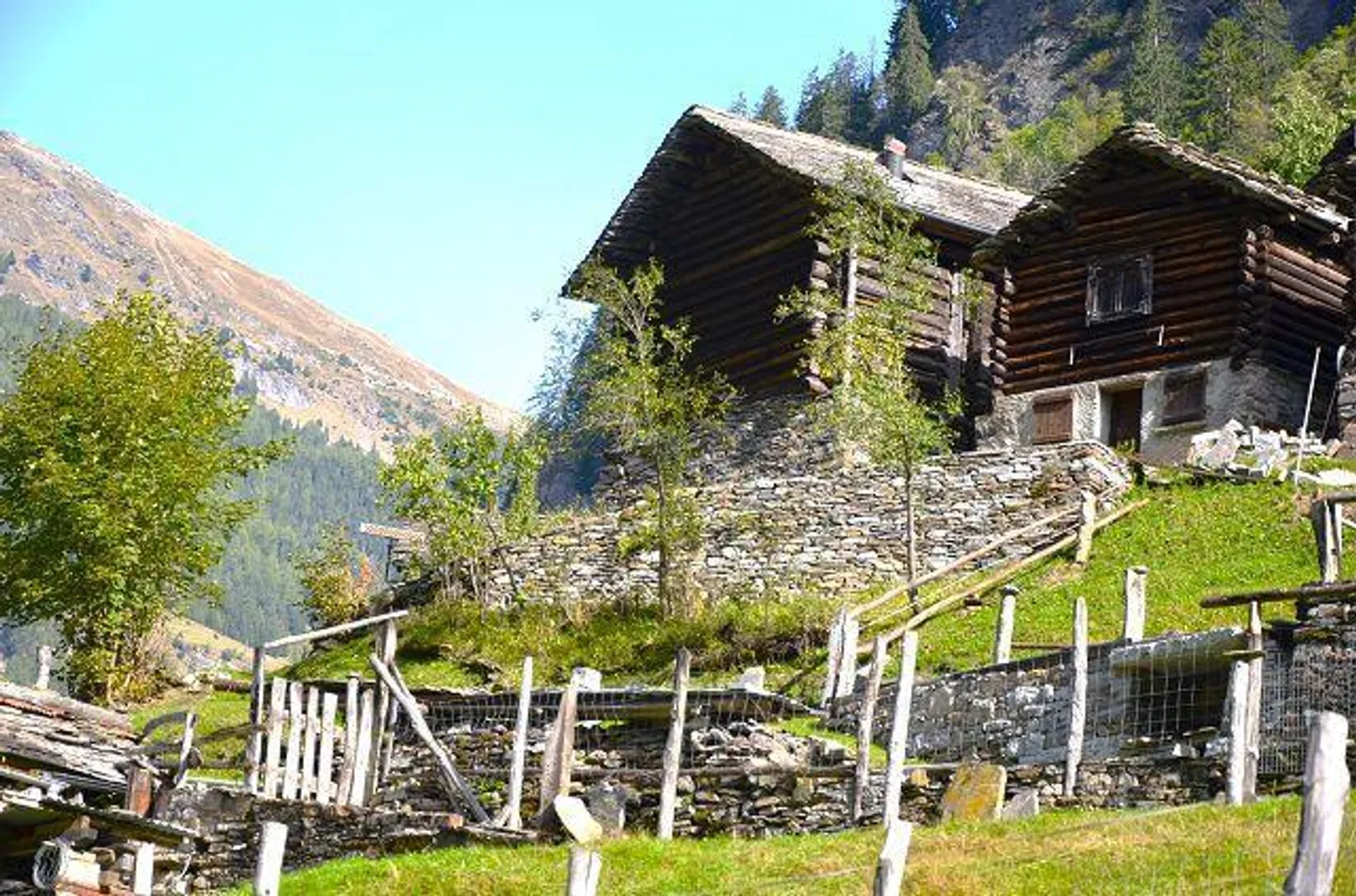Casa in affitto - Foto 23 di 39