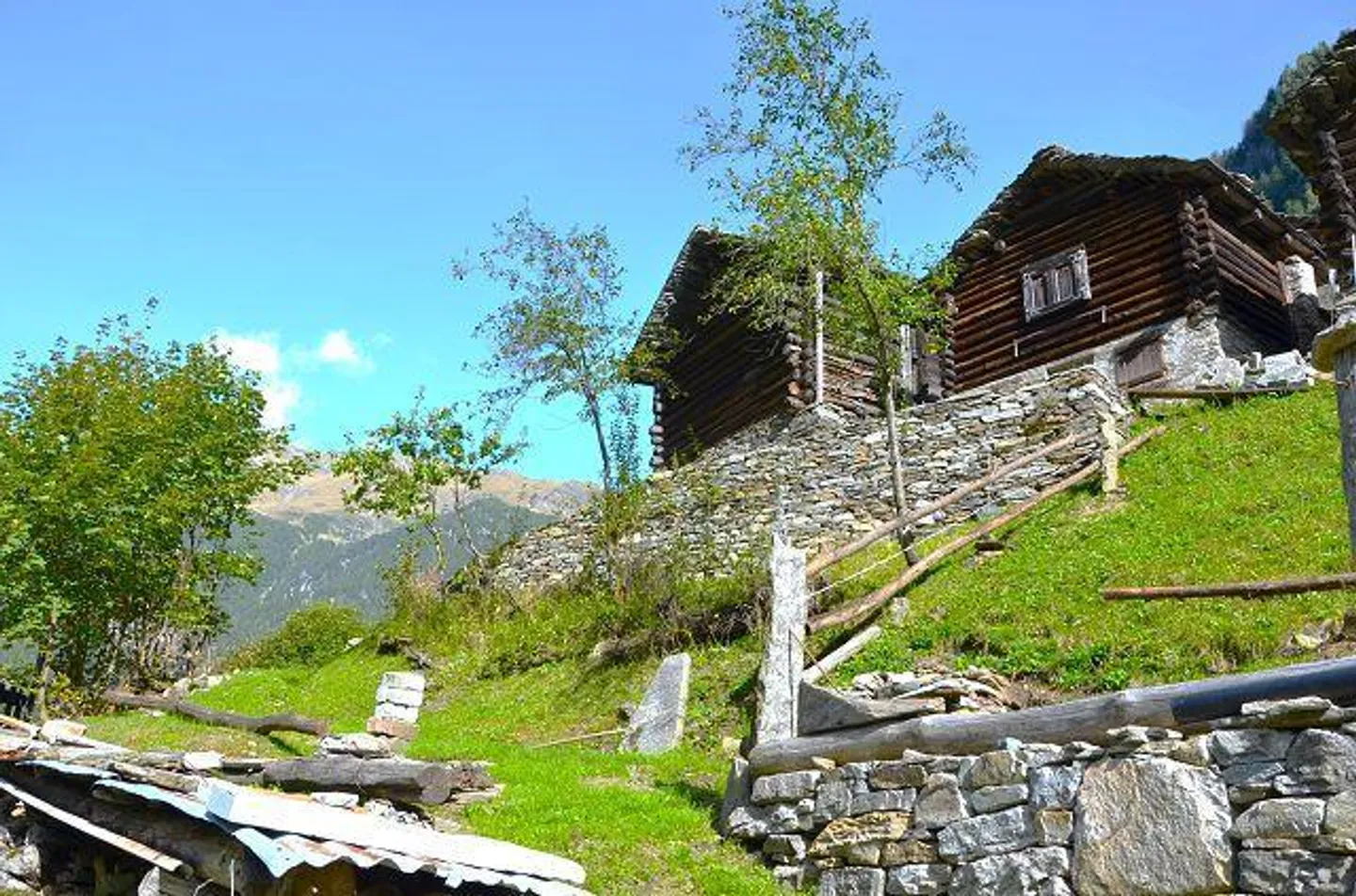 Casa in affitto - Foto 24 di 39