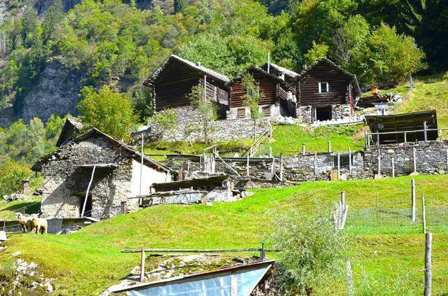 Casa in affitto - Foto 32 di 39
