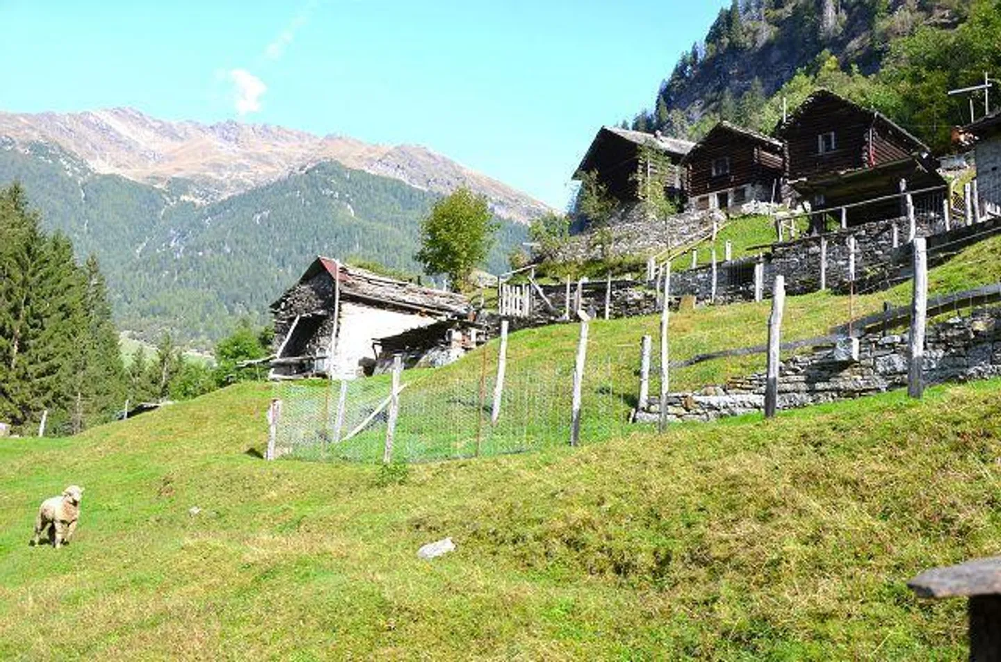 Casa in affitto - Foto 33 di 39