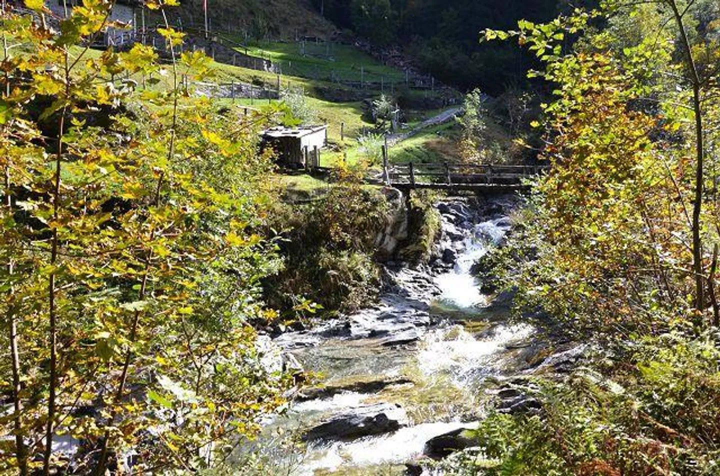 Casa in affitto - Foto 35 di 39