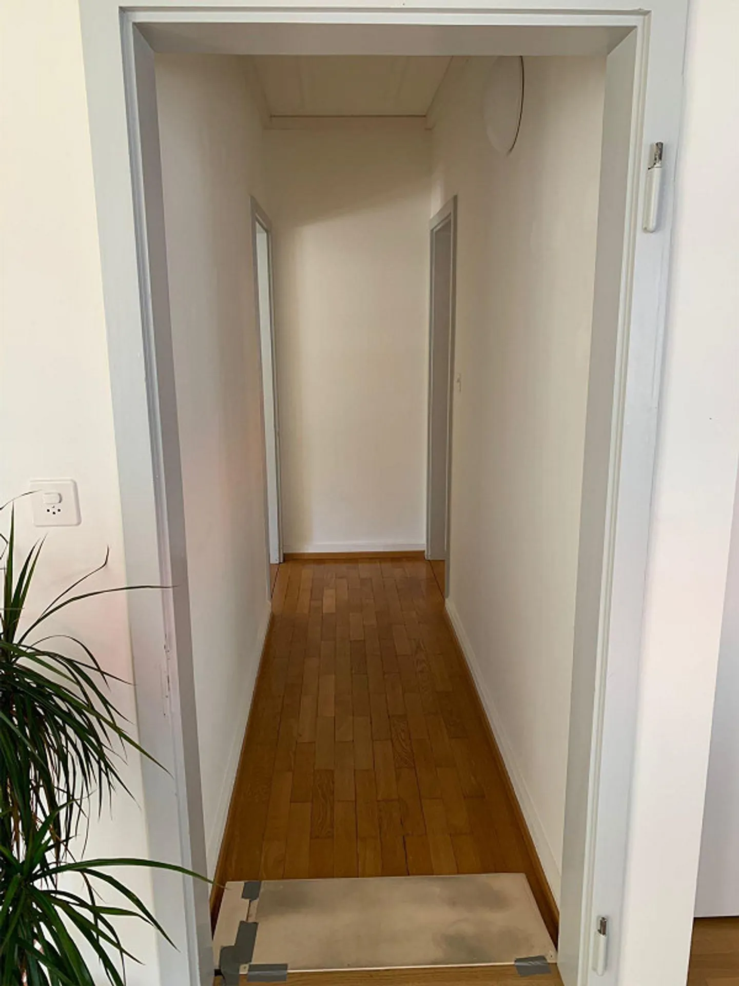 Exzellente 4.5-Zimmer-Wohnung im Herzen der Schaffhauser Altstadt - Foto 5 von 8