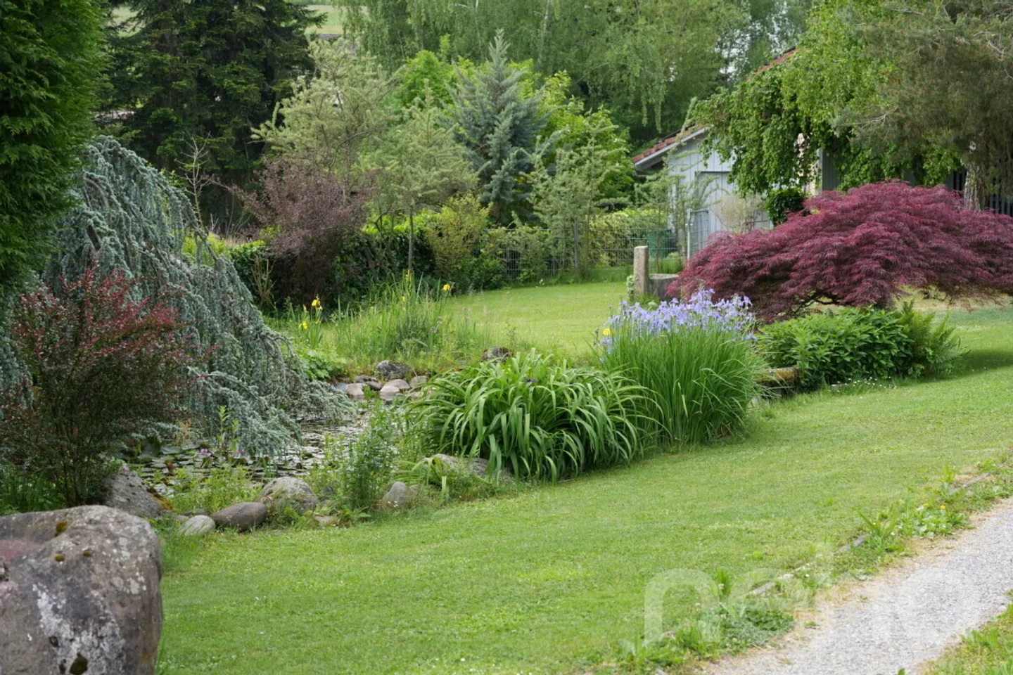 Casa di campagna indipendente con molto spazio, grande studio e molto terreno - Foto 2 di 13