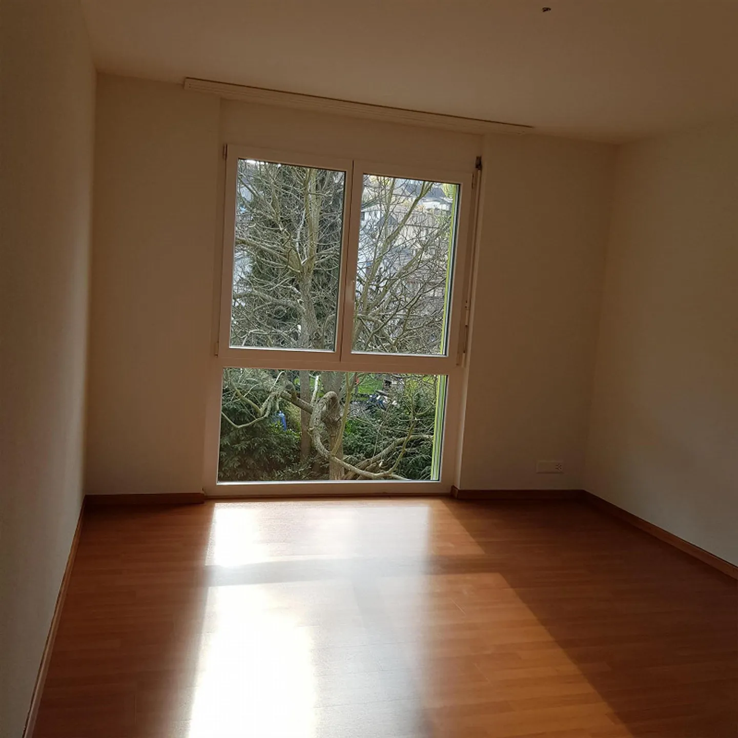 Ampio appartamento di 3,5 stanze disponibile dal 1 maggio 2026 o su appuntamento - Foto 2 di 8