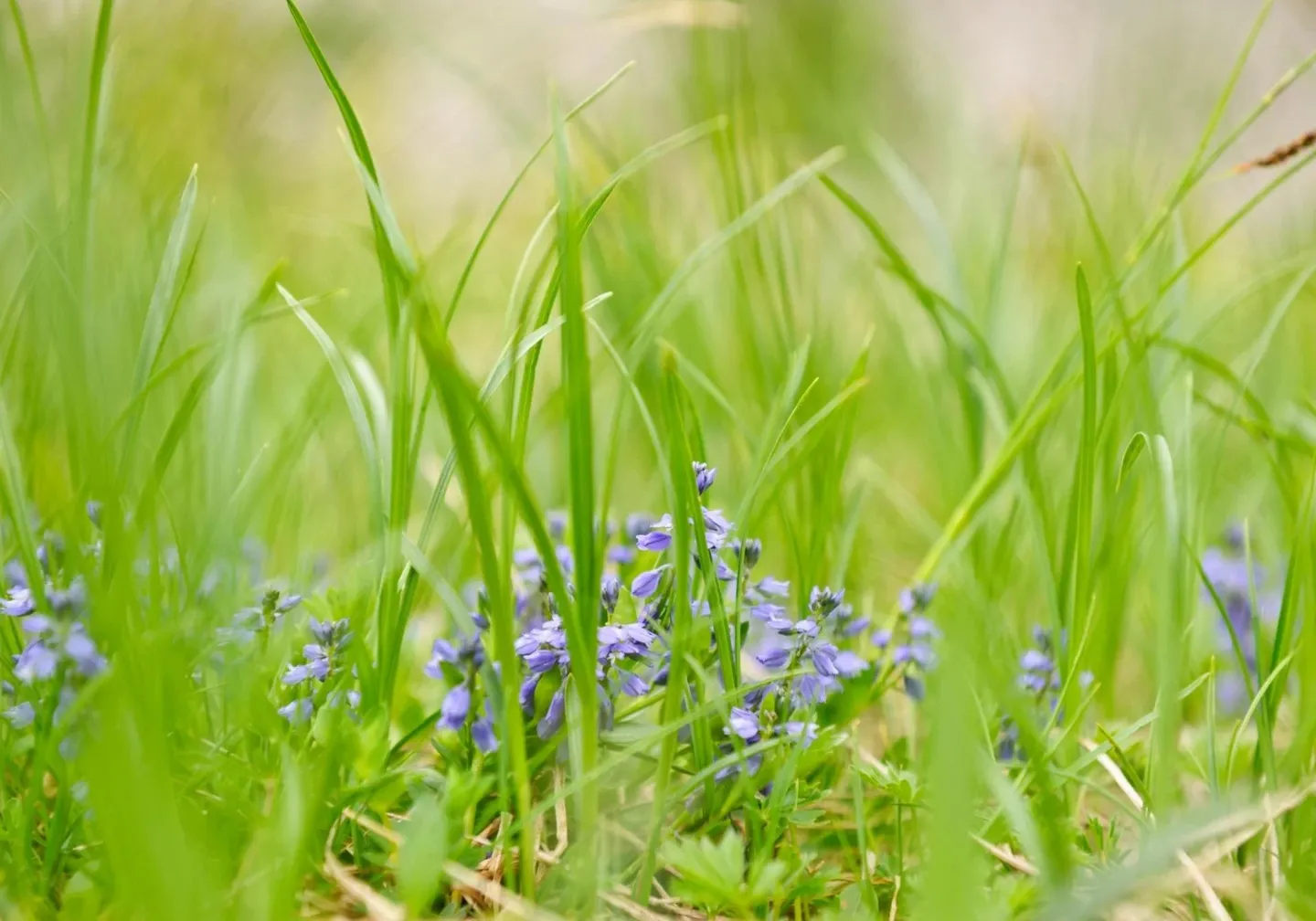Bauland kaufen - Foto 1 von 3