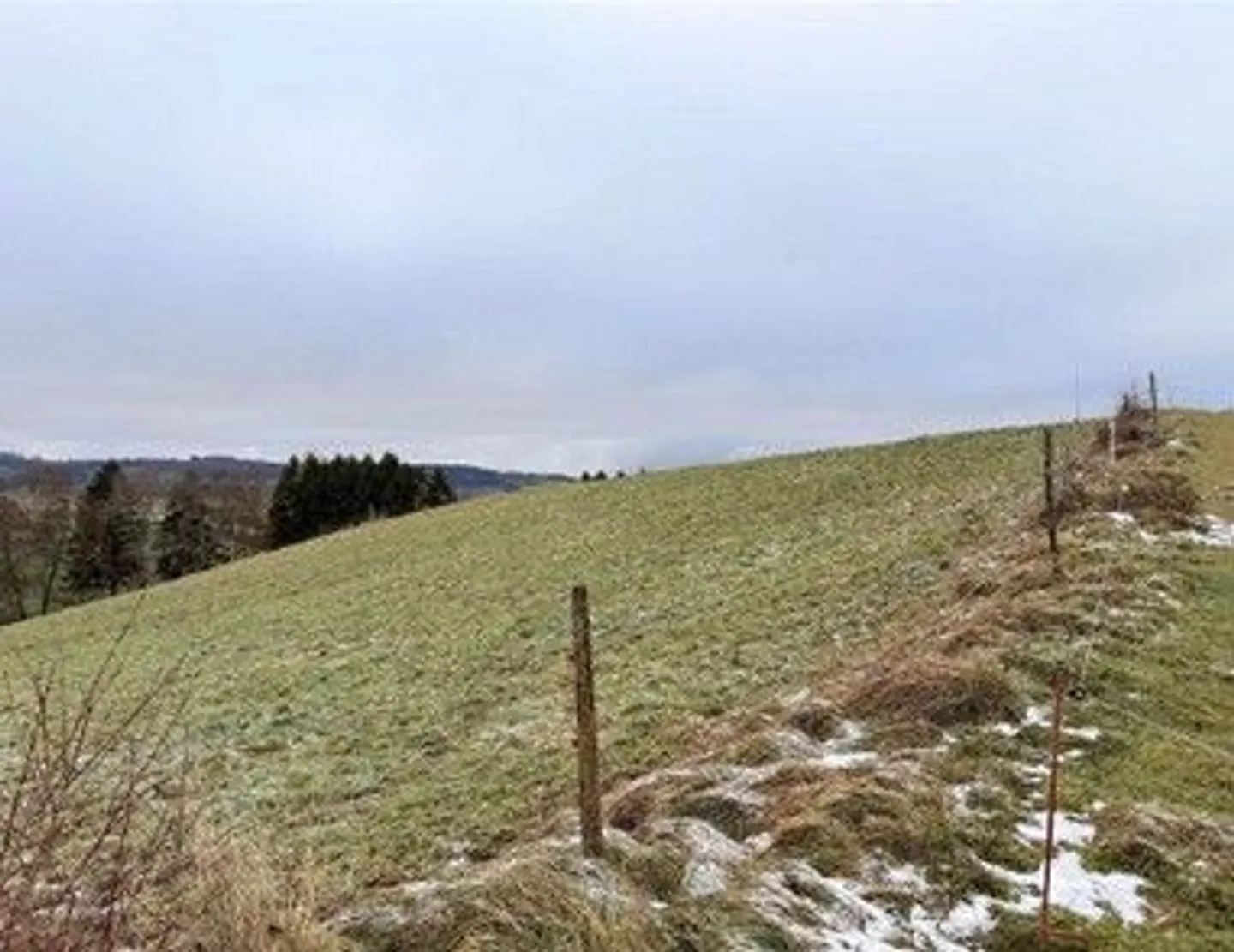 Terrain Agricole à Vendre - Photo 1 sur 13