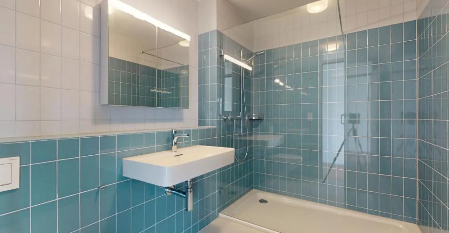 3-room flat at Schmiede Wiedikon, District 3 for exchange - Photo 7 of 8