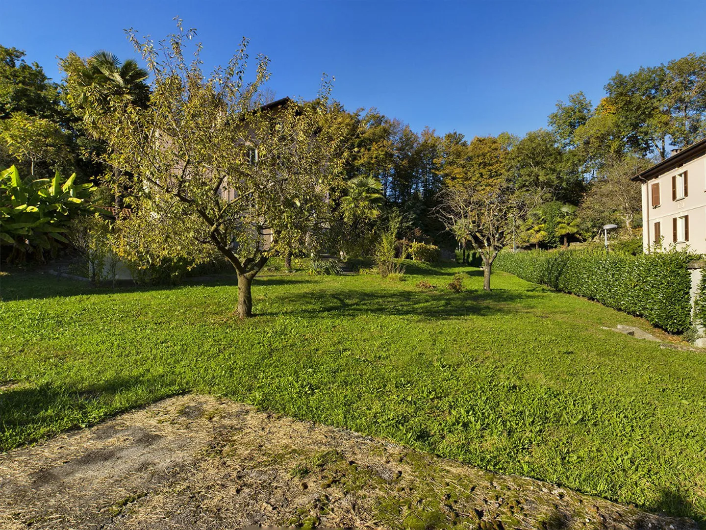 TERRENO EDIFICABILE con casa PLURIFAMILIARE. - Foto 3 di 25