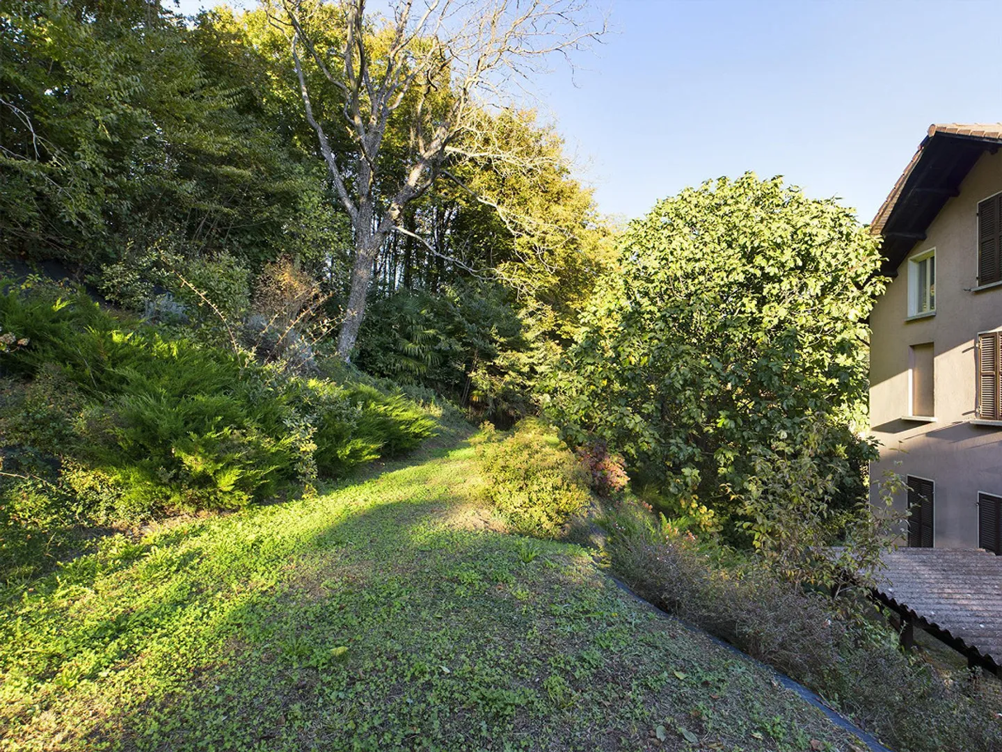 TERRENO EDIFICABILE con casa PLURIFAMILIARE. - Foto 5 di 25
