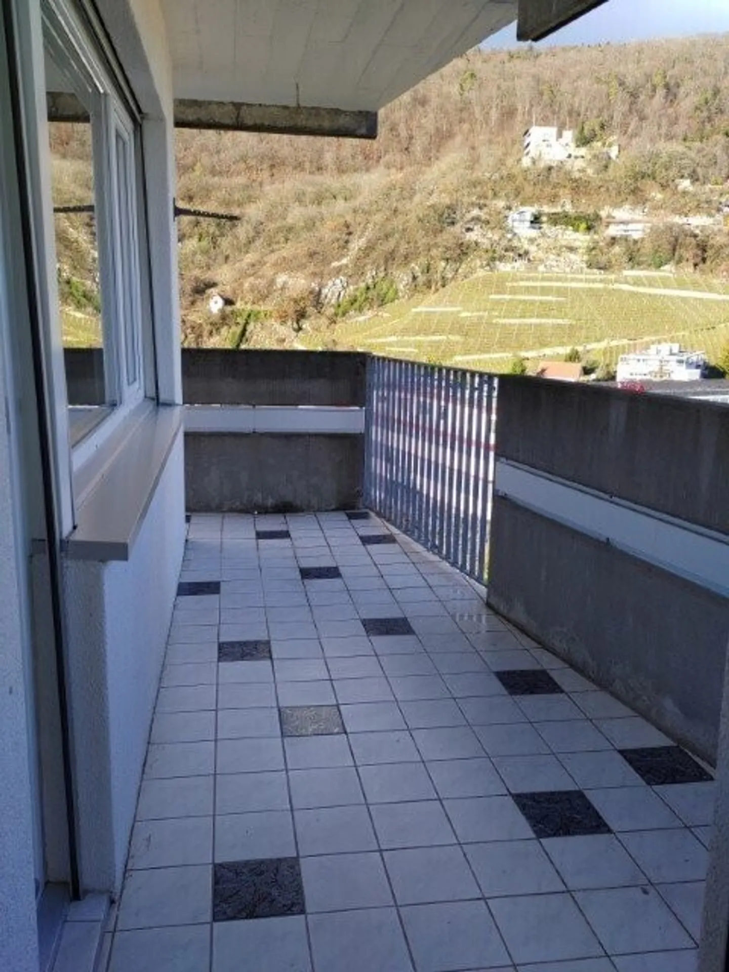 Apartment with a beautiful view of Lake Biel - Photo 5 of 6