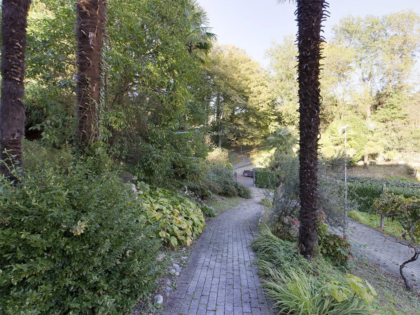 TERRENO EDIFICABILE con casa PLURIFAMILIARE. - Foto 22 di 25