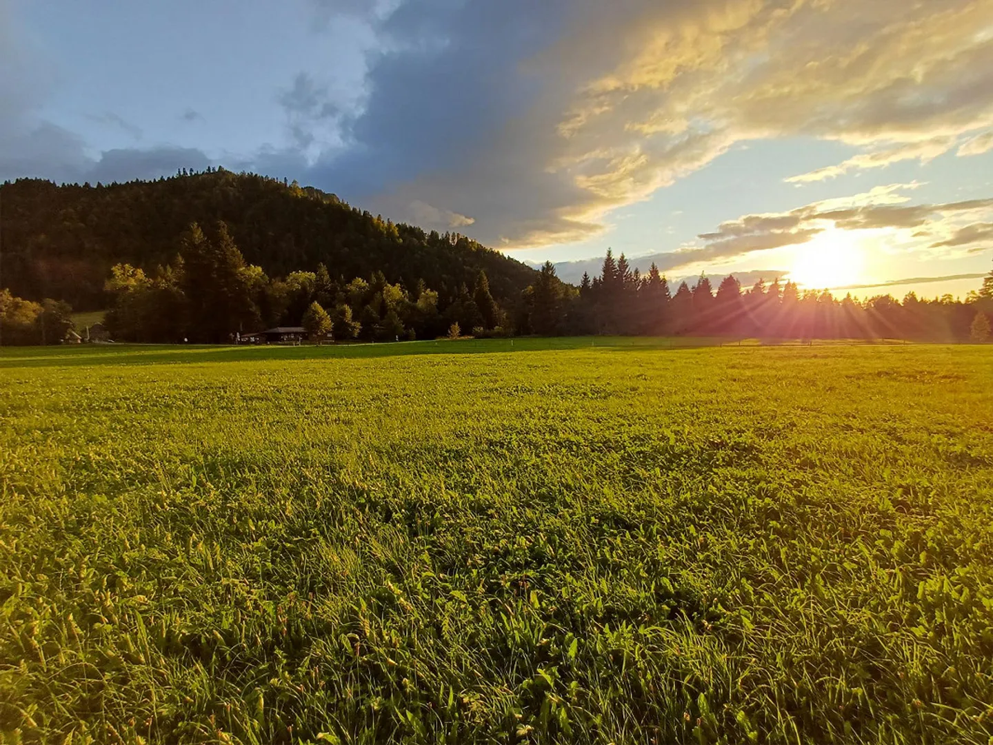 Dove il sole splende in autunno..... - Foto 3 di 19