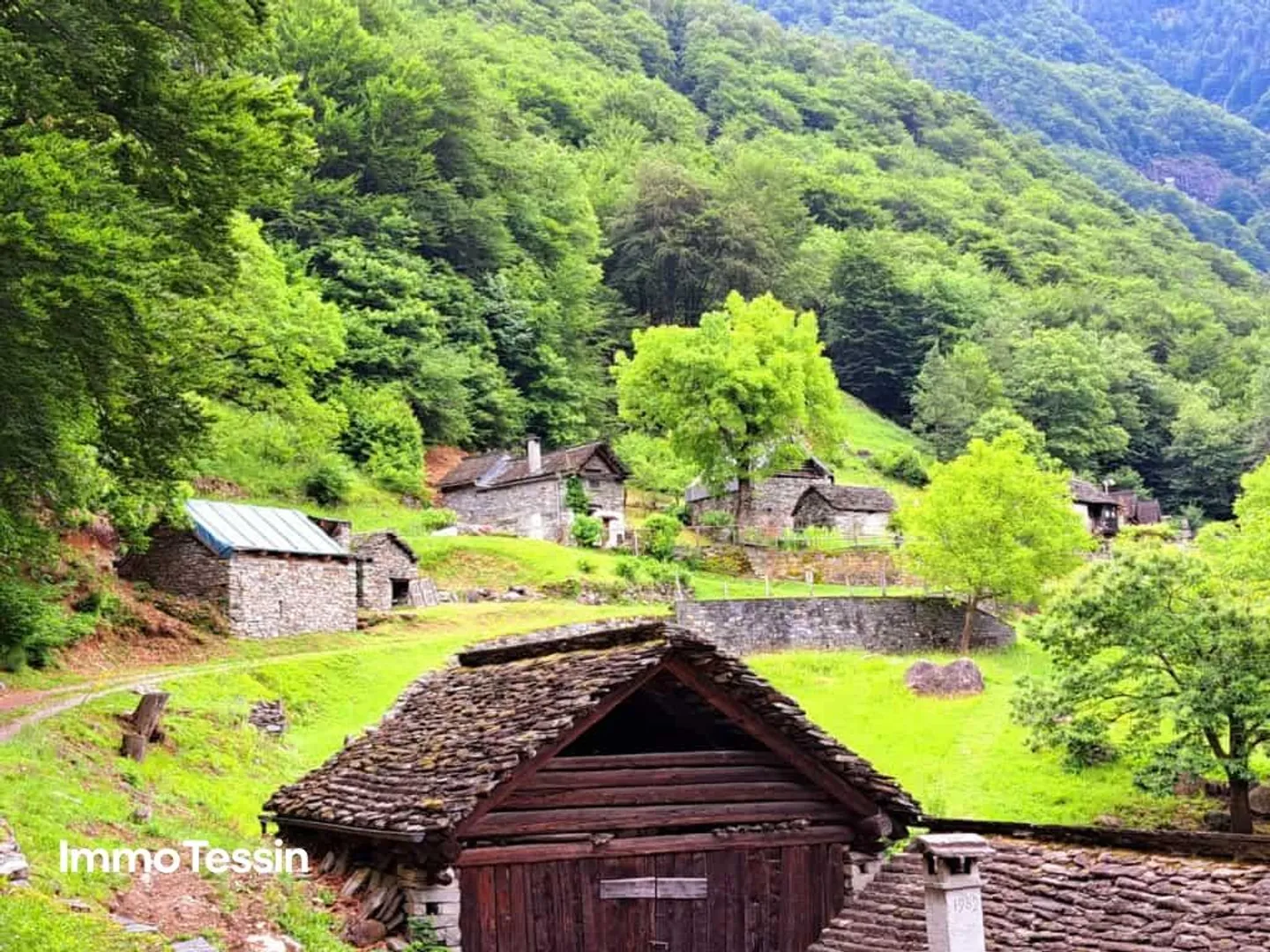 Your Rustic Dream in Maggiatal with Building Permit - Photo 2 of 13