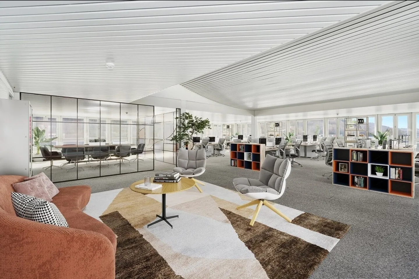 Spazio commerciale libero di un totale di 4'376 m² - Foto 2 di 12