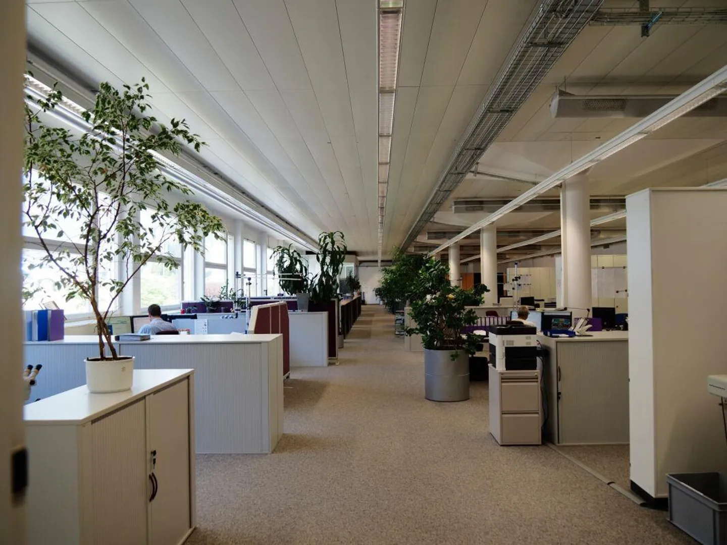 Espaces de bureaux et commerciaux entièrement développés et attrayants - Photo 2 sur 5