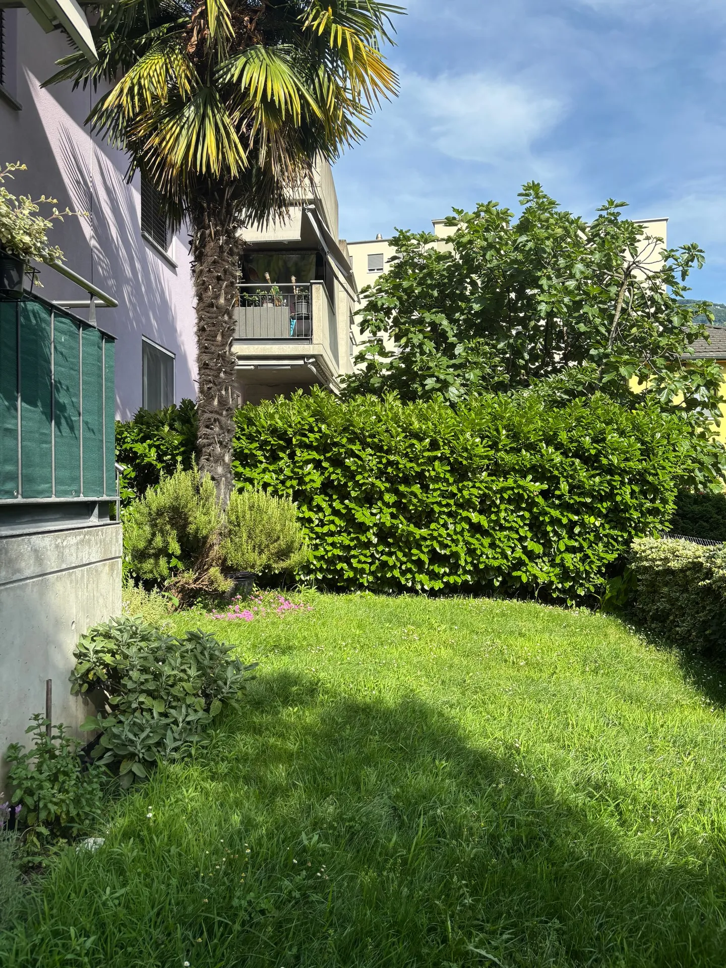 Magnifico appartamento di 4,5 stanze con terrazza e giardino a Bellinzona - Foto 2 di 12