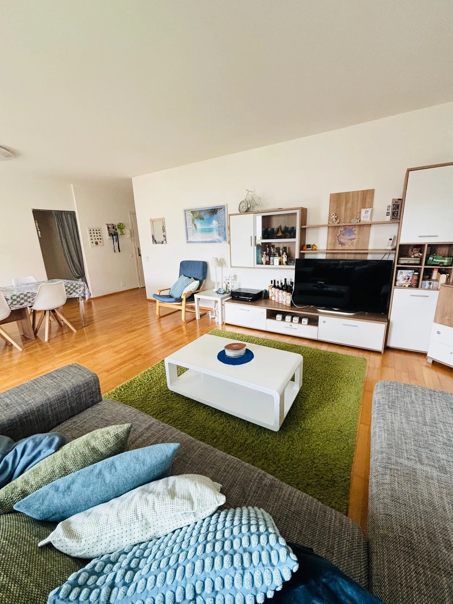 Magnifico appartamento di 4,5 stanze con terrazza e giardino a Bellinzona - Foto 5 di 12