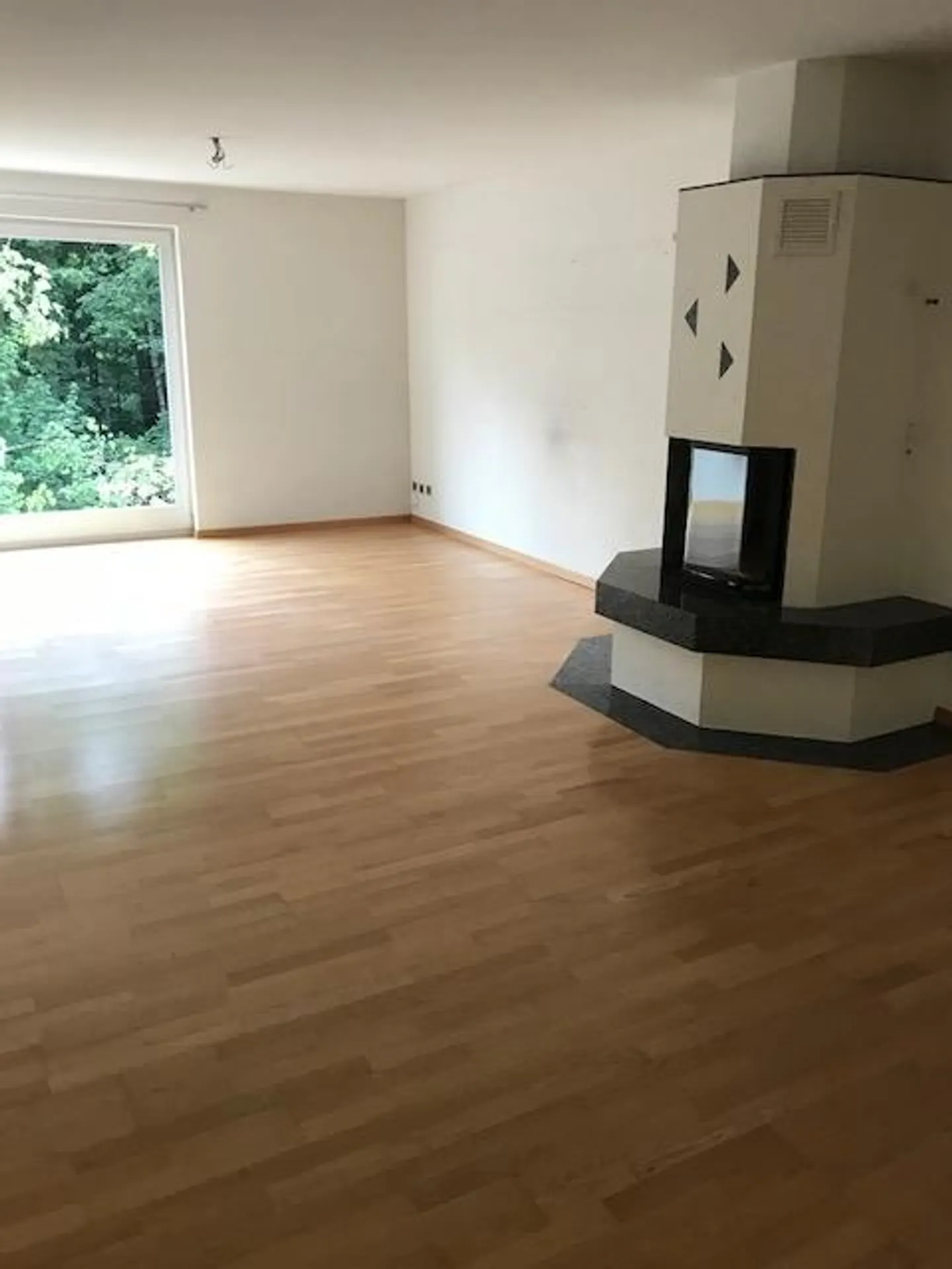 Geräumiges Einfamilienhaus in St. Gallen - Foto 3 von 10
