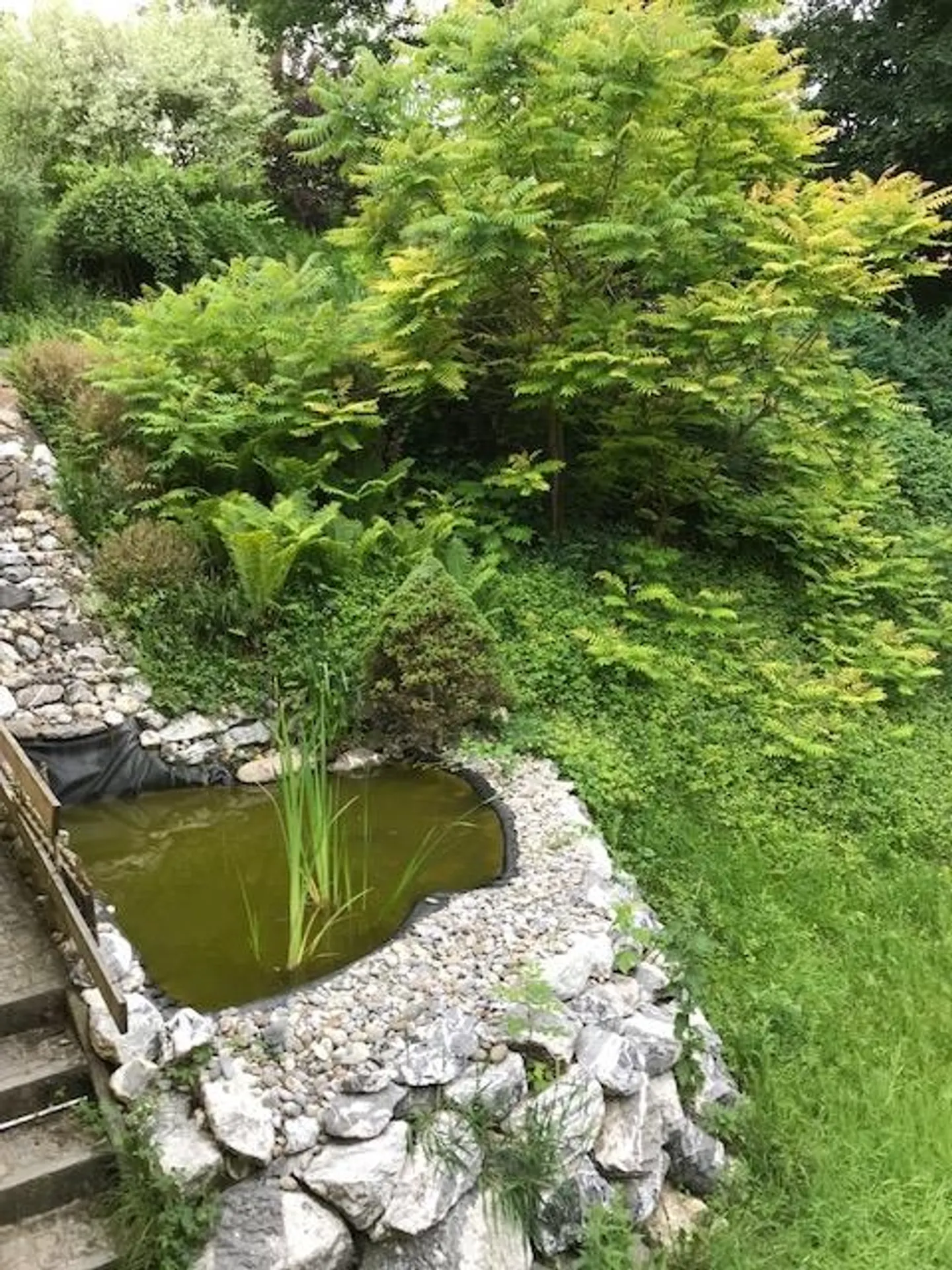 Geräumiges Einfamilienhaus in St. Gallen - Foto 8 von 10