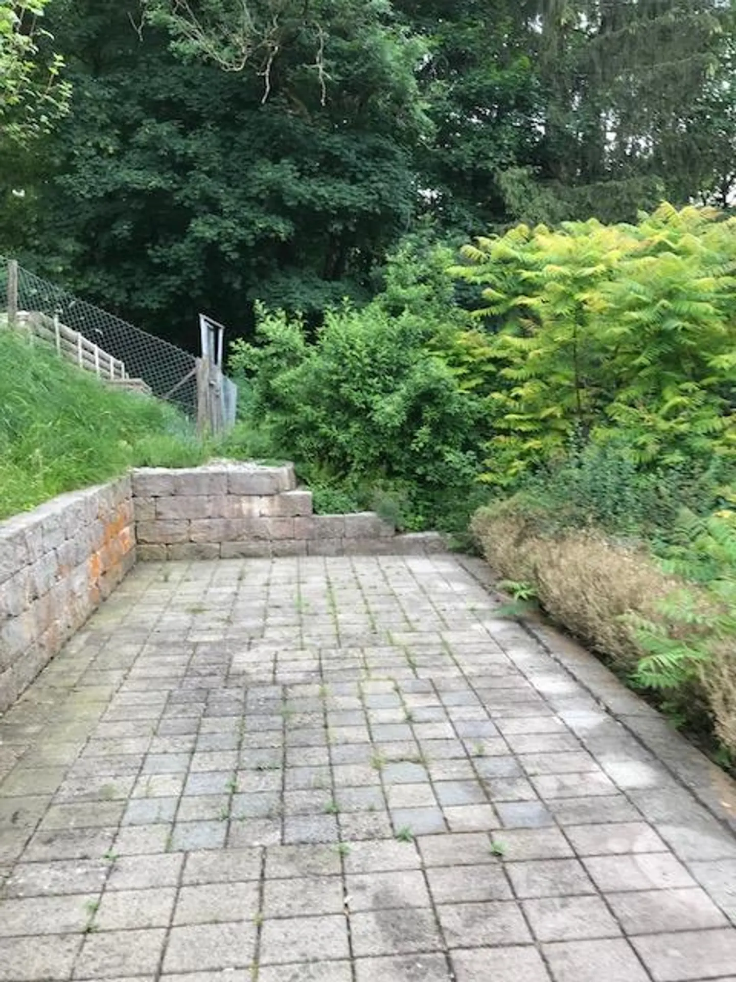 Geräumiges Einfamilienhaus in St. Gallen - Foto 9 von 10