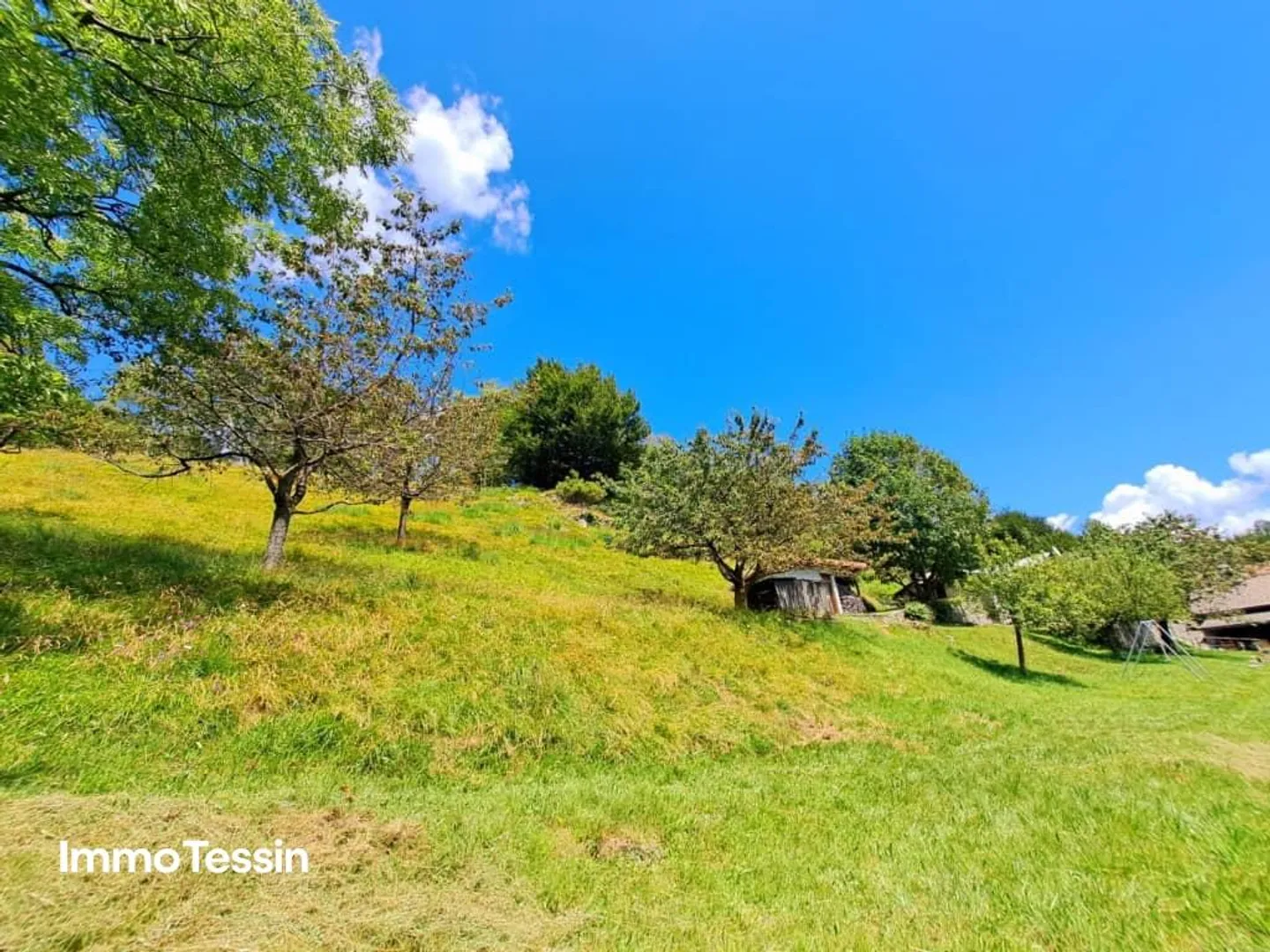 Rustic with breathtaking views of the Ticino mountains and ... - Photo 6 of 13