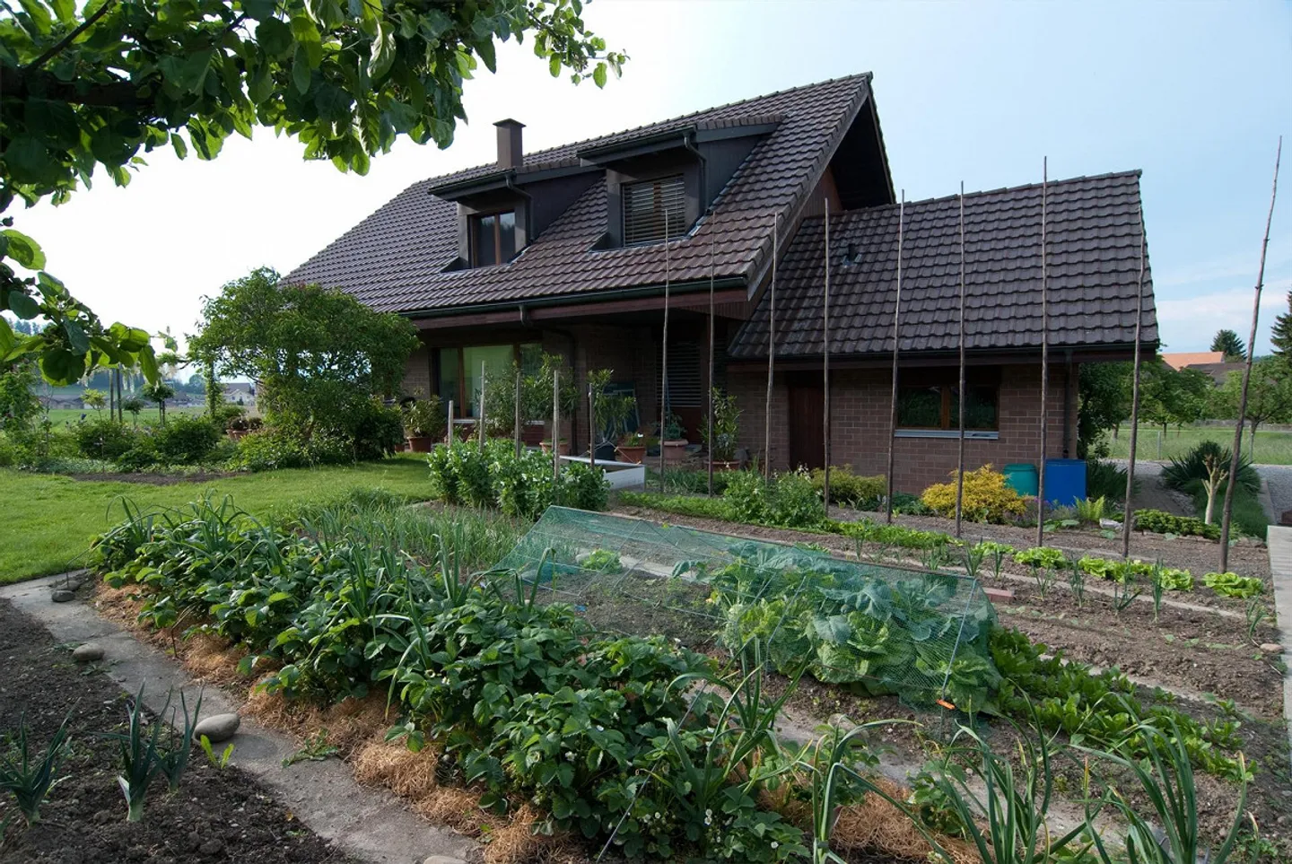 Grande casa unifamiliare di 7 stanze con molto spazio esterno nel vecchio centro del villaggio - Foto 4 di 14