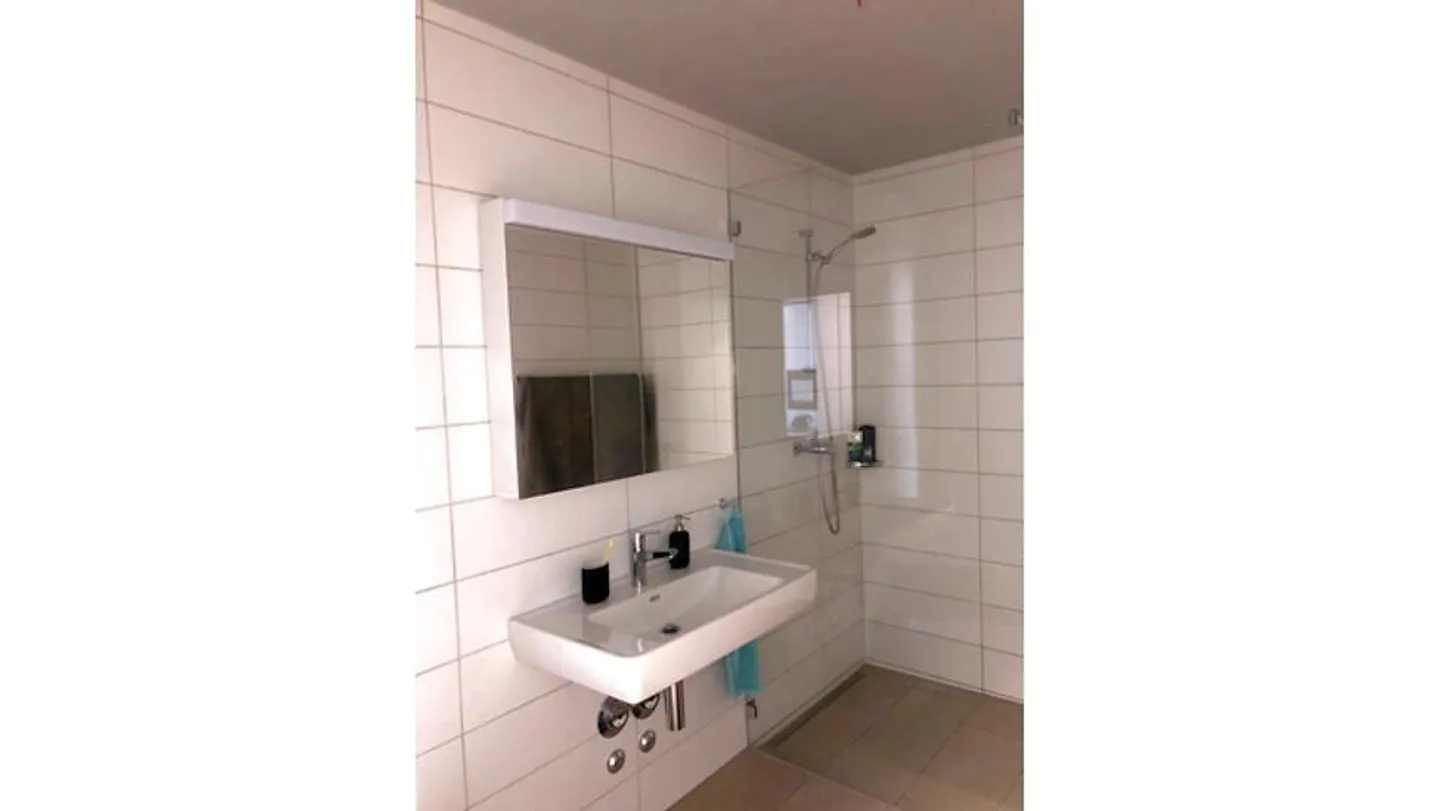 2½ ZI APPARTAMENTO a Muri (AG), ARREDATO, TEMPORANEA - Foto 5 di 9