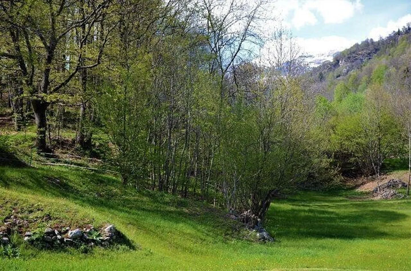 Building plot of 1069 m2 in a very quiet, sunny location - Photo 2 of 13