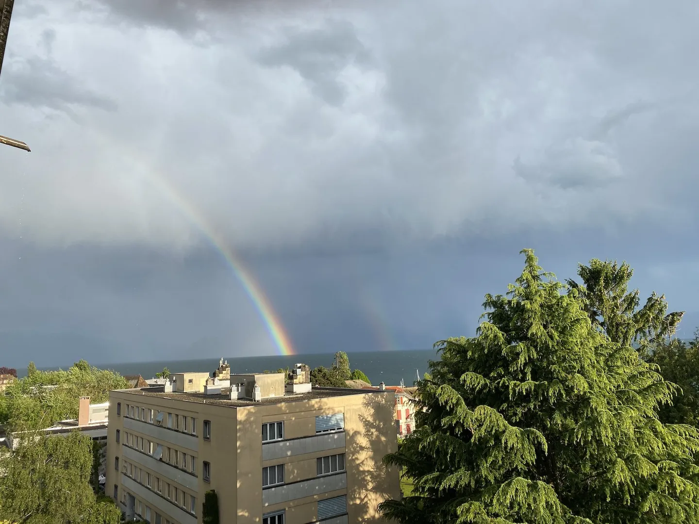 Charming Apartment with Lake View - Photo 5 of 16