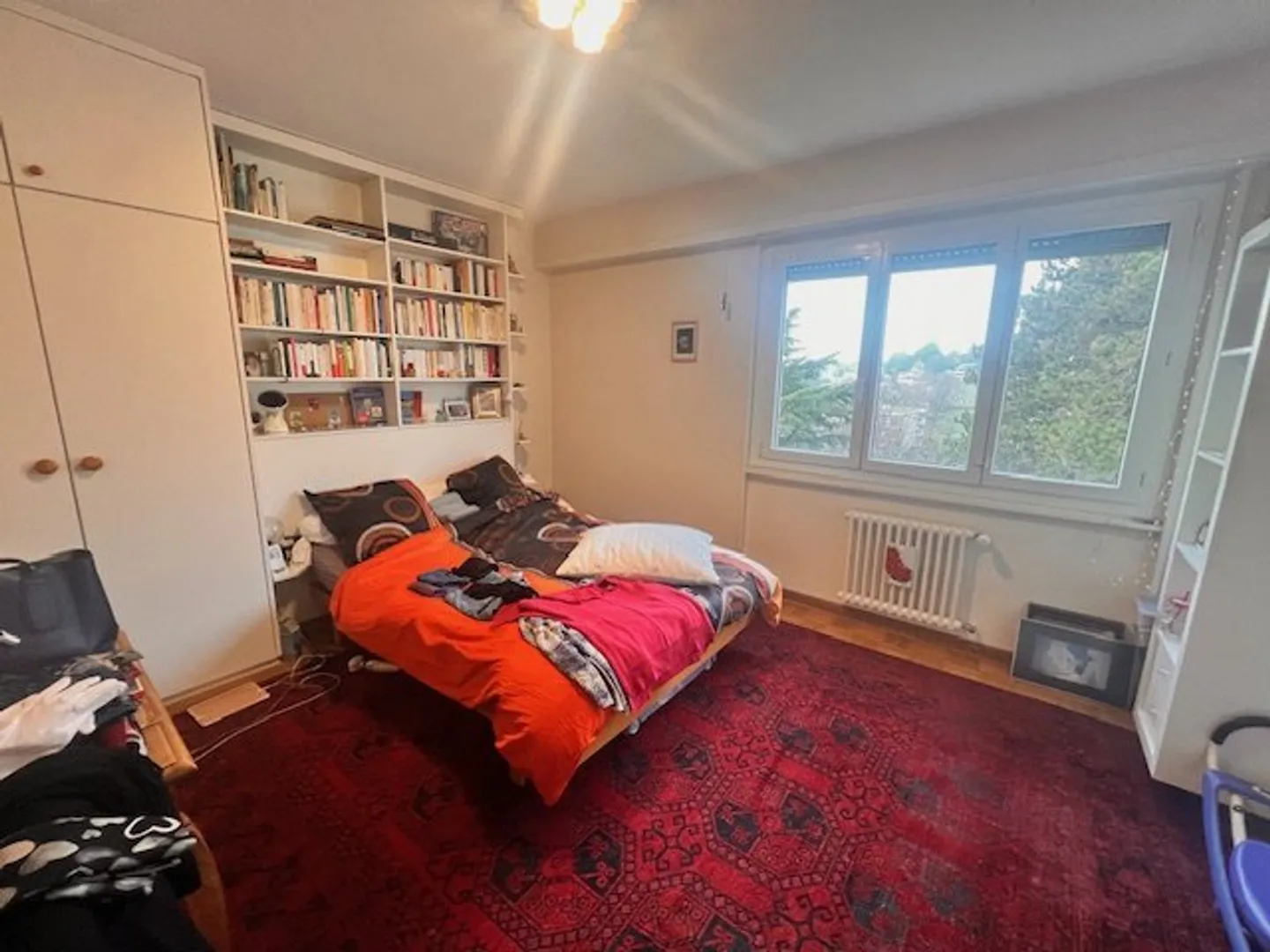 Charming Apartment with Lake View - Photo 13 of 16