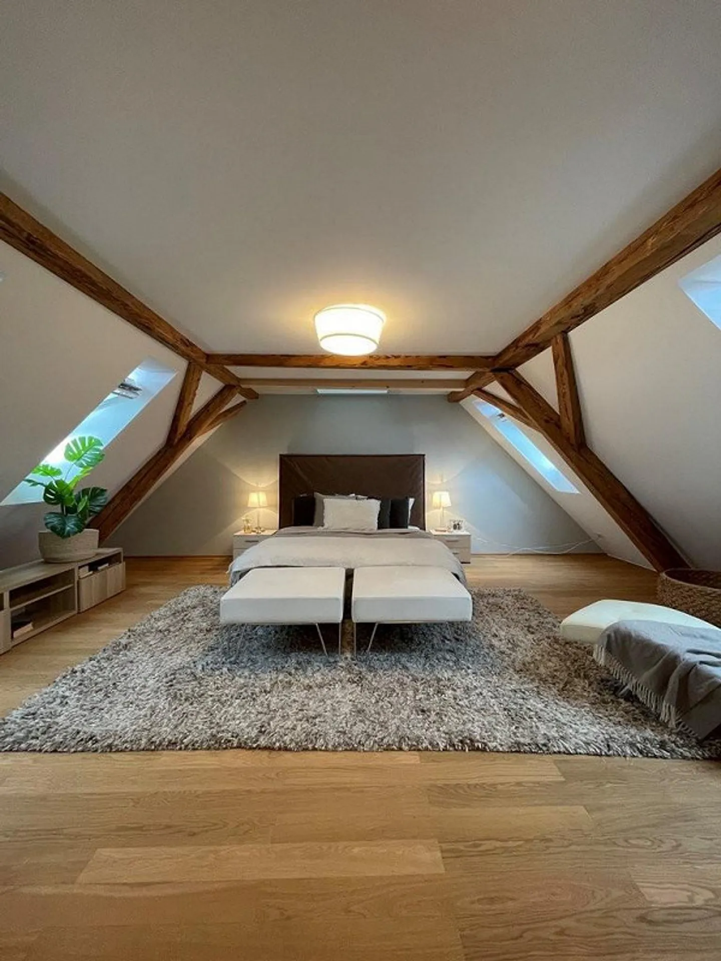 4.5 Room Penthouse in the Heart of Zurich - Photo 4 of 10