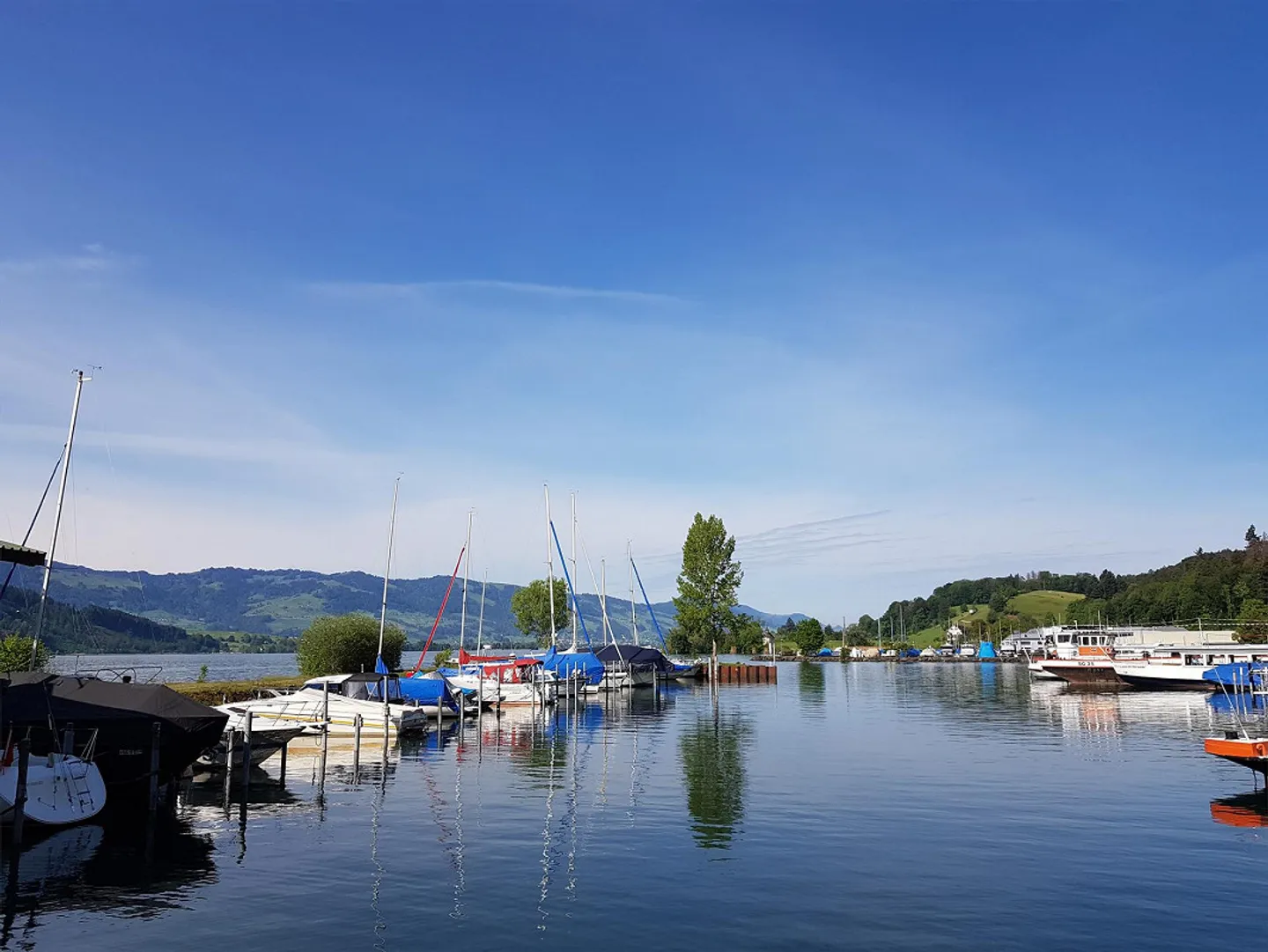 Places de bateau au Ziegelhof à Schmerikon - Photo 4 sur 4