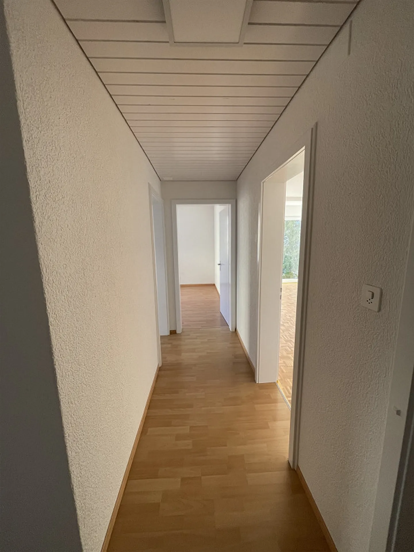 partially renovated, beautiful old apartment ground floor - Photo 3 of 22
