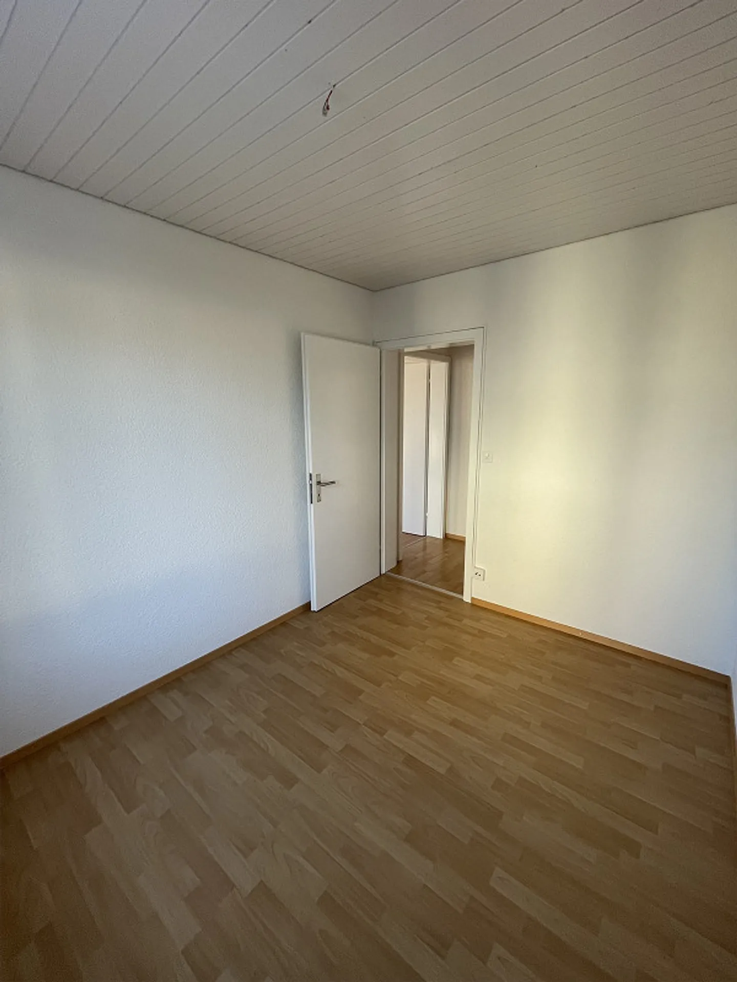 partially renovated, beautiful old apartment ground floor - Photo 12 of 22