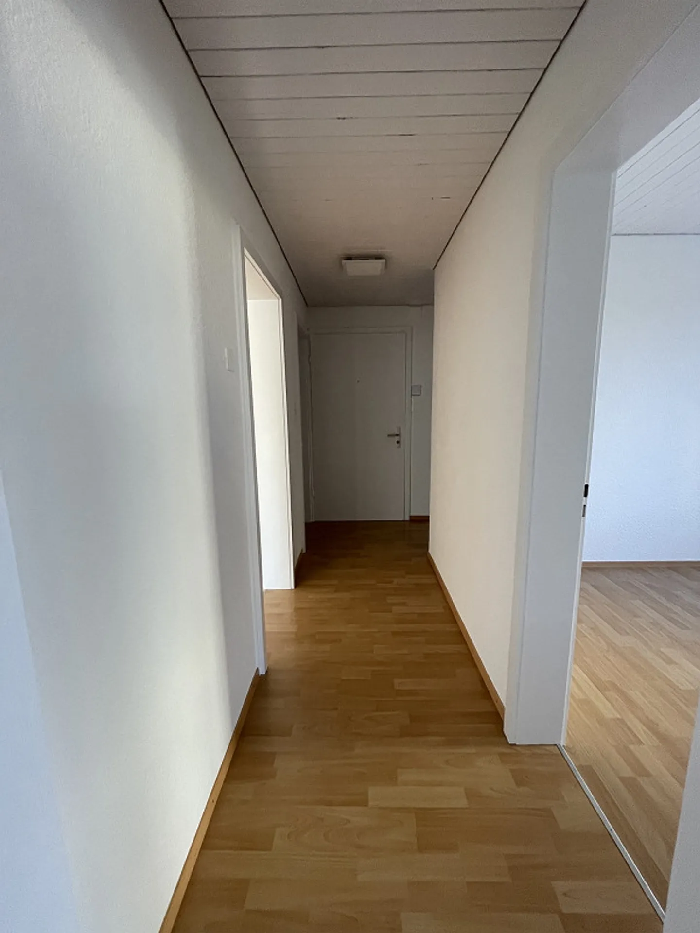 partially renovated, beautiful old apartment ground floor - Photo 16 of 22