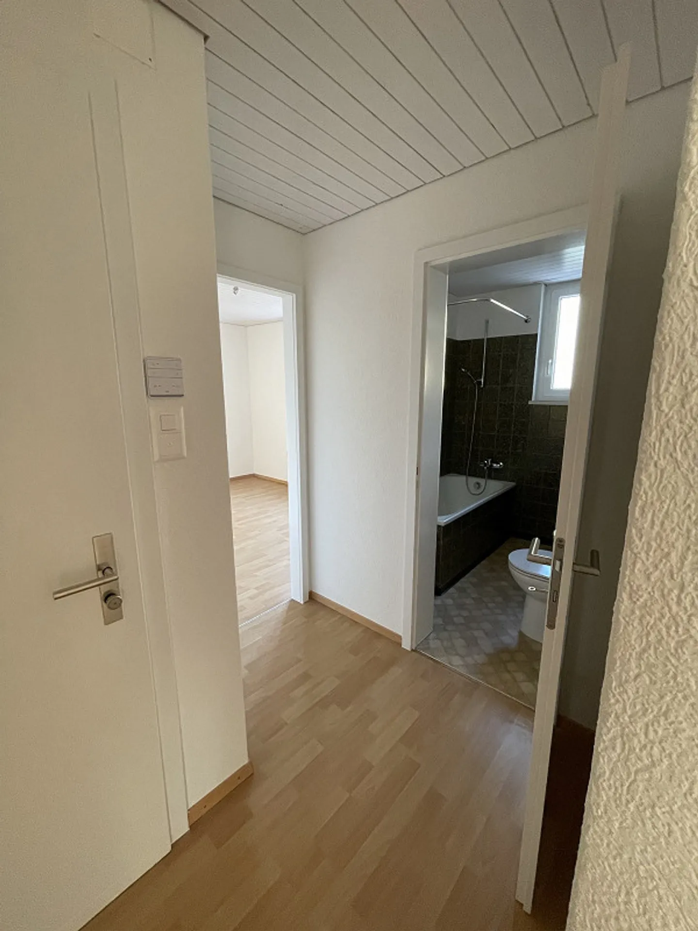 partially renovated, beautiful old apartment ground floor - Photo 17 of 22