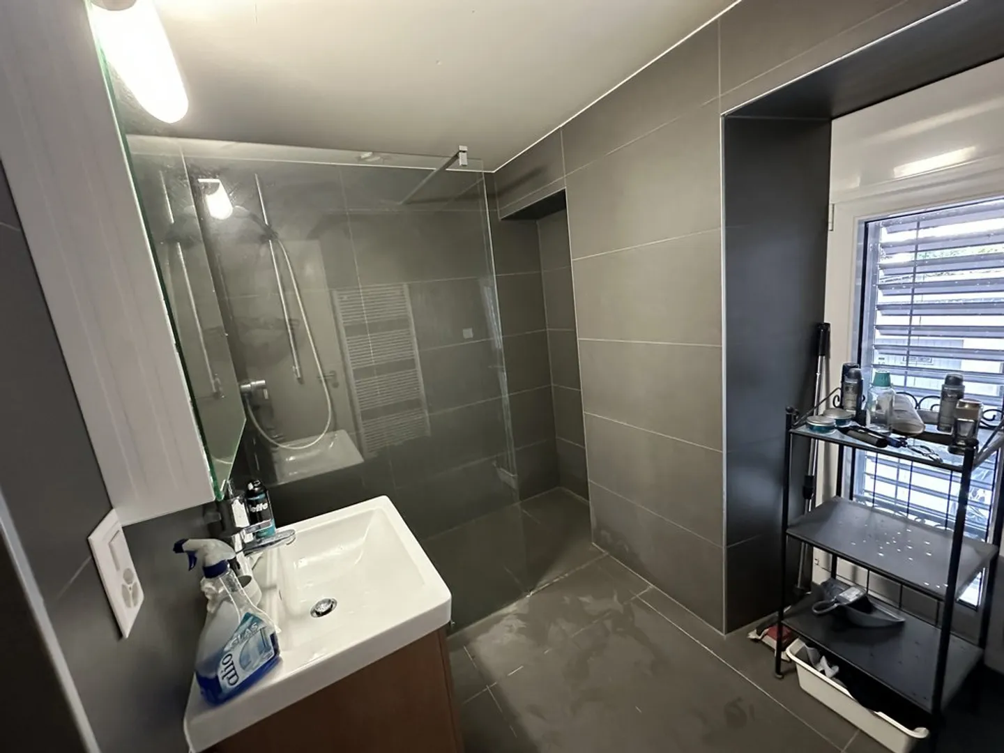 Charming Apartment in Lausanne - Photo 6 of 7