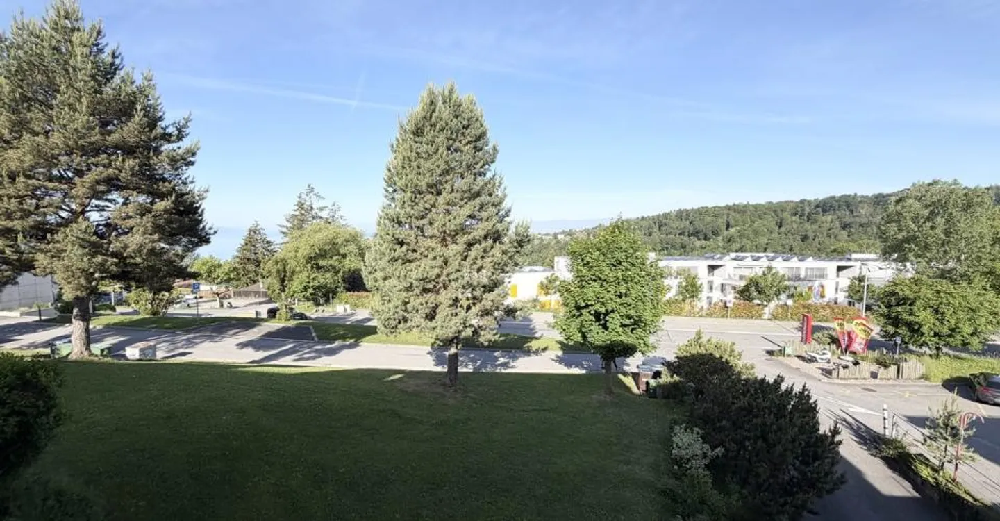 Appartamento di 2,5 locali di 45 m2 con vista libera - Foto 5 di 7
