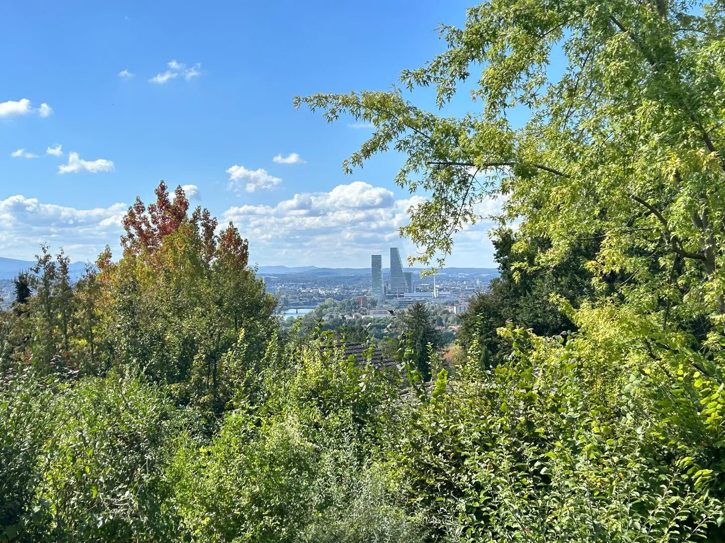 Appartamento esclusivo di 6,5 stanze su due livelli con vista a Riehen - Foto 7 di 24