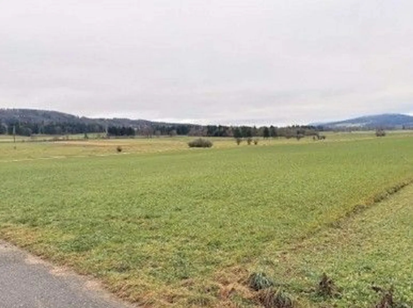 Terrain Agricole aux Enchères - Photo 1 sur 13