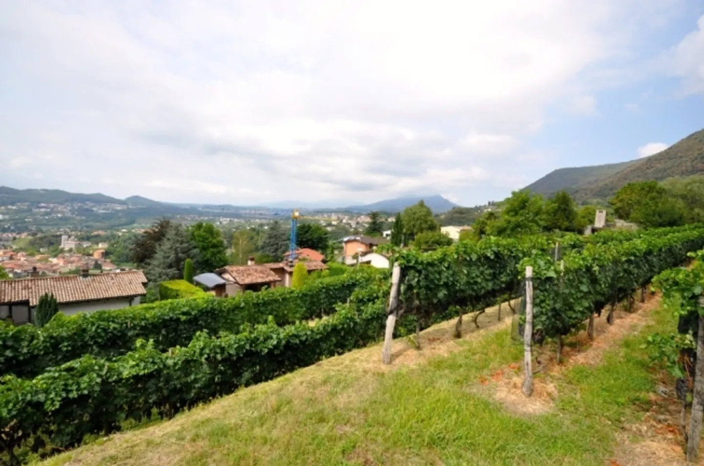 Terreno edificabile di 2'283 m² con vista panoramica a Morbio Superiore - Foto 8 di 10