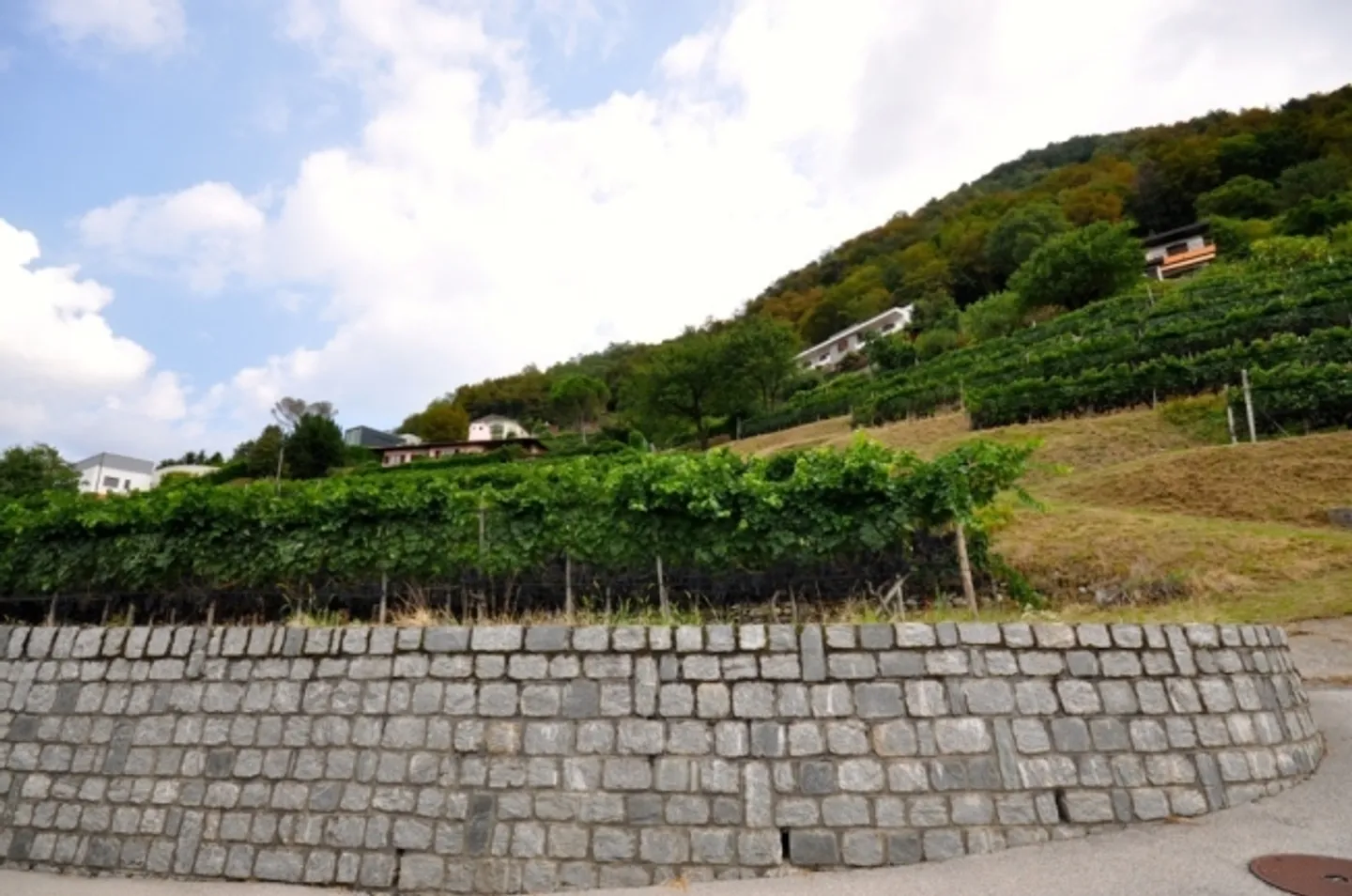 Terreno edificabile di 2'283 m² con vista panoramica a Morbio Superiore - Foto 10 di 10