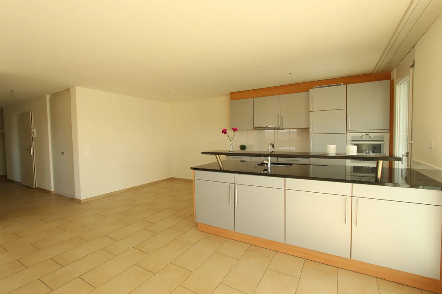 Appartamento spazioso e luminoso con grandi balconi - Foto 3 di 10