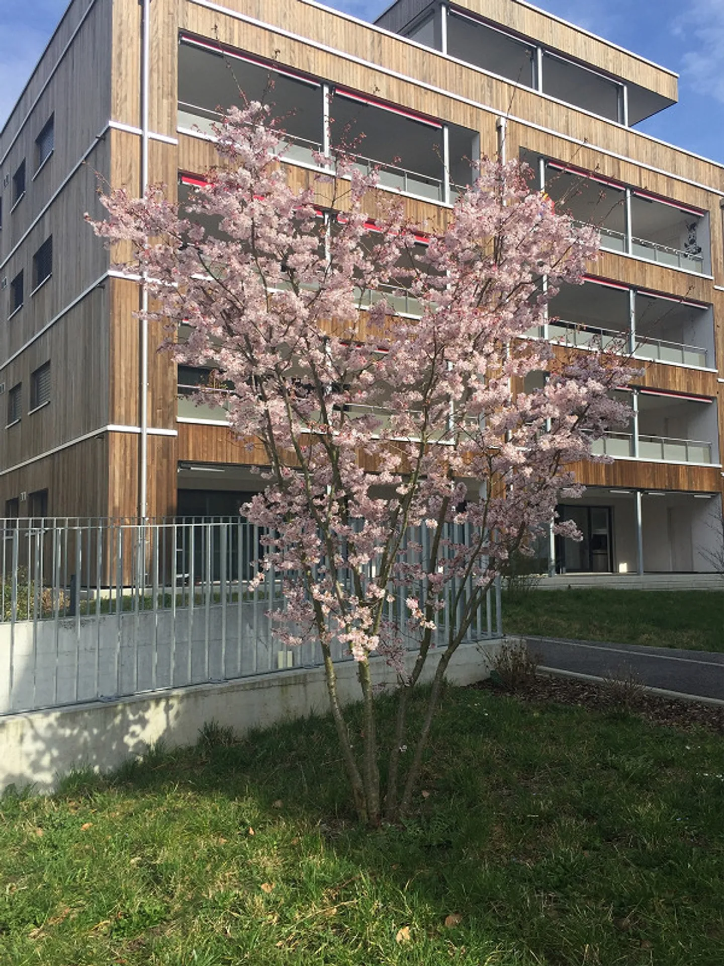 Moderne 4.5 Zimmer-Wohnung - Foto 7 von 15
